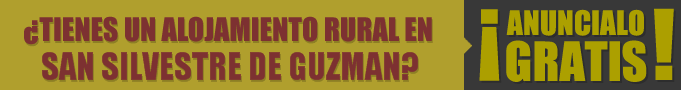 Tiendas en San Silvestre de Guzman